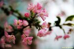 IMG_0416