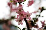 IMG_0417