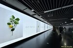 IMG_7949