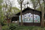 IMG_0147