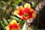 IMG_9656