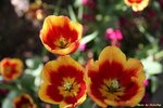 IMG_9659