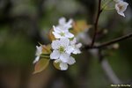 IMG_0301