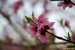 IMG_9740