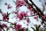 IMG_9741