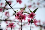 IMG_9749