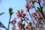 IMG_9935