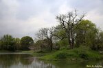 IMG_0010