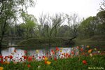 IMG_0085