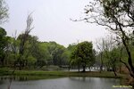 IMG_0117