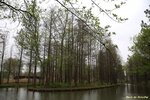 IMG_0177