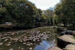 IMG_7374