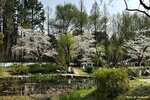 IMG_7518