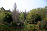 IMG_9930