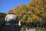 IMG_2960