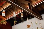 IMG_3010