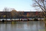 IMG_2818