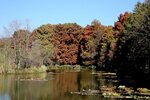 IMG_2822-001