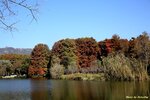 IMG_2823
