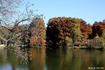 IMG_2825