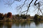 IMG_2826