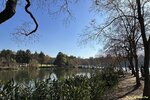 IMG_9859