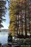 IMG_9864