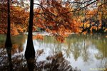 IMG_2374