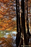IMG_3792