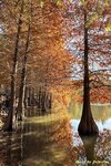 IMG_9676