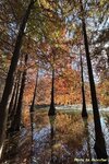 IMG_9691