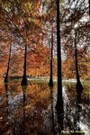 IMG_9693
