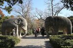 IMG_2448-001