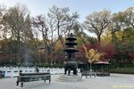 IMG_0247