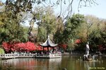 IMG_9685
