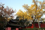 IMG_9914