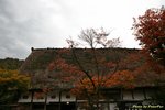 IMG_0810