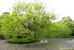 IMG_3310