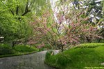 IMG_3311