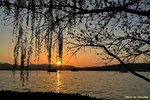 IMG_7285