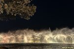 IMG_7352