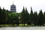 IMG_8495