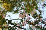 IMG_9690