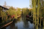 IMG_9708