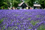 IMG_0405