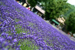 IMG_0406