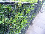 notting hill2