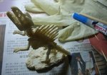 CIMG0423