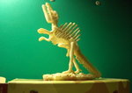 CIMG0424_