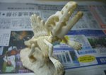 CIMG0426